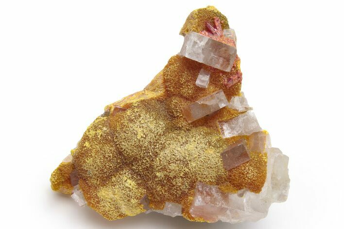 Vibrant Orpiment with Tabular Barite Crystals - Peru #231537